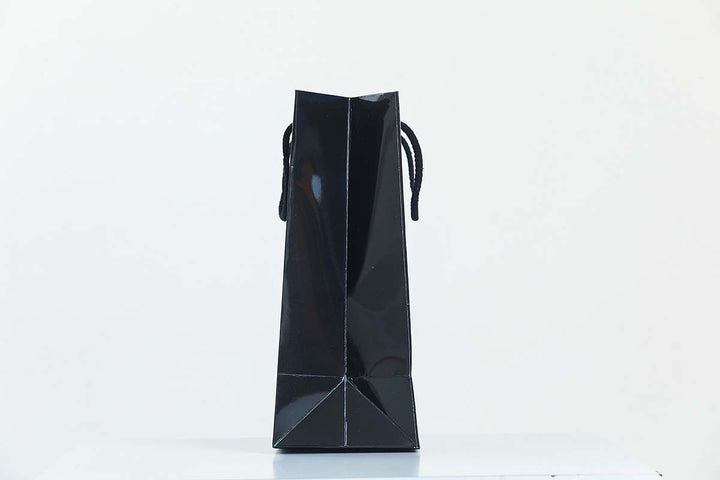 Glossy Laminated Rope Boutique Carrier Bags - jqwholesale.com