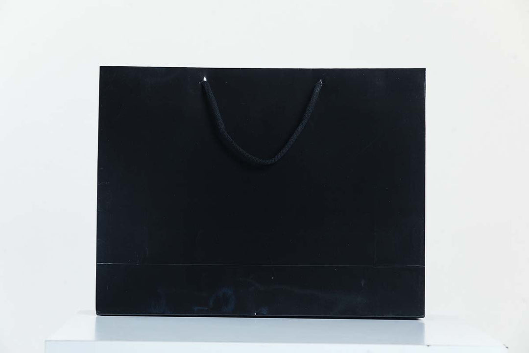 Glossy Laminated Rope Boutique Carrier Bags - jqwholesale.com
