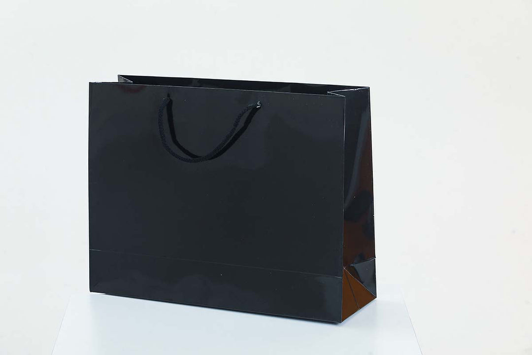 Glossy Laminated Rope Boutique Carrier Bags - jqwholesale.com