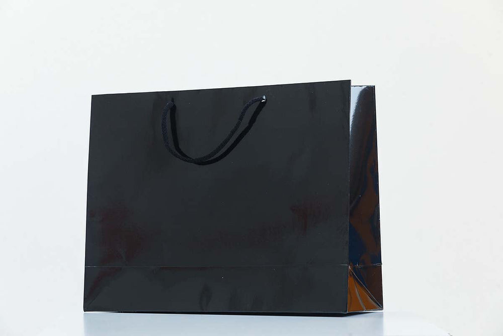 Glossy Laminated Rope Boutique Carrier Bags - jqwholesale.com