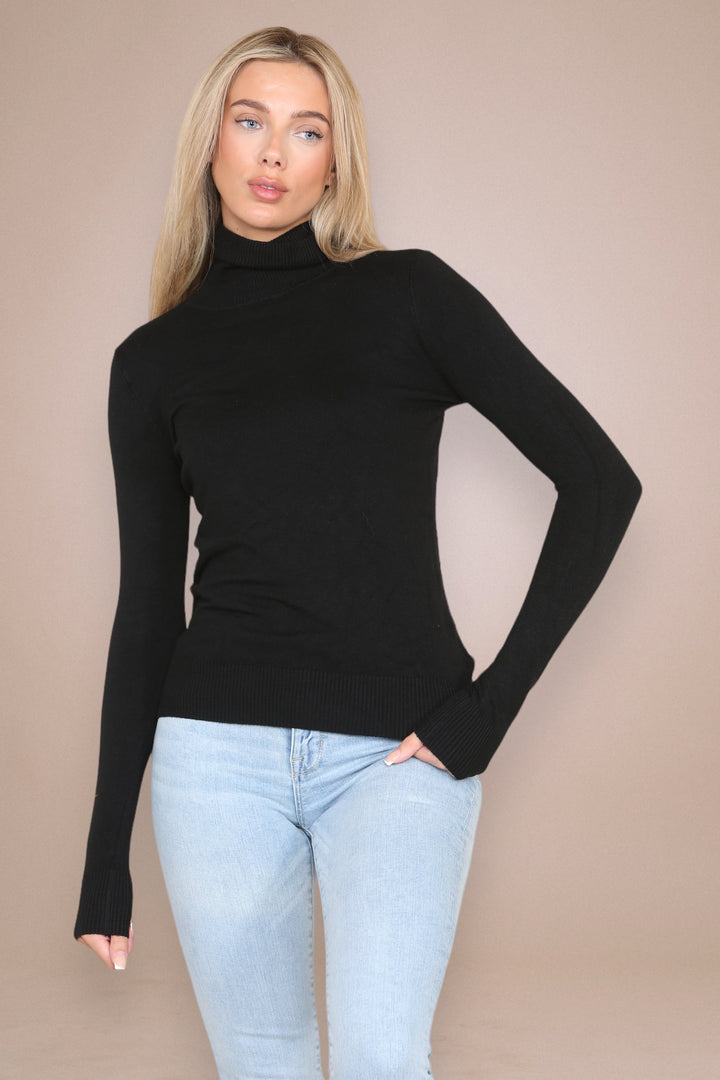 (2P. PACK) Classic Polo Neck Knit Sweater - jqwholesale.com