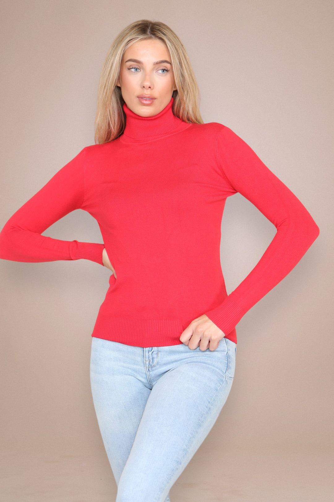 (2P. PACK) Classic Polo Neck Knit Sweater - jqwholesale.com