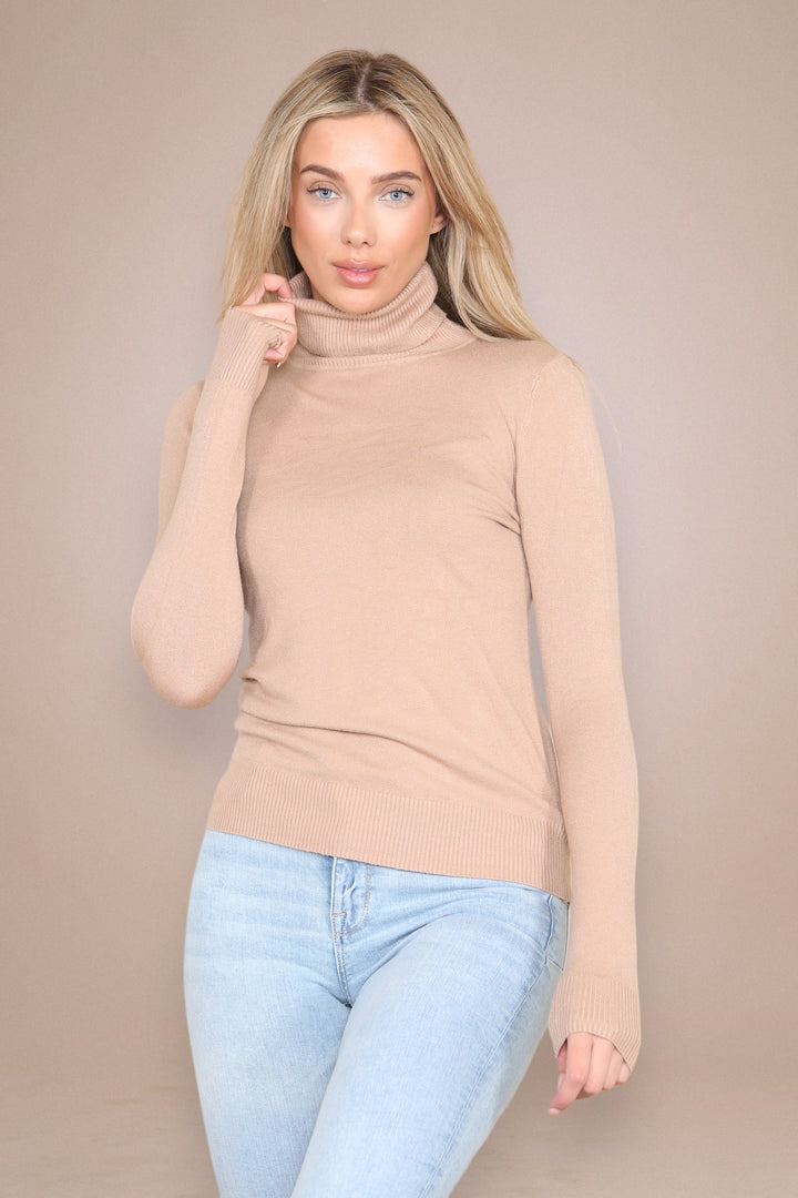 (2P. PACK) Classic Polo Neck Knit Sweater - jqwholesale.com