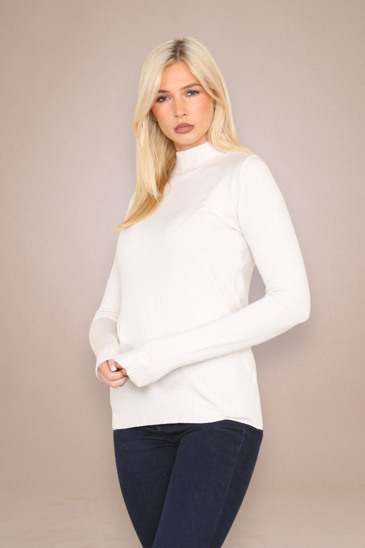 (2p. Pack) Classic Turtle Neck Knit Sweater - jqwholesale.com