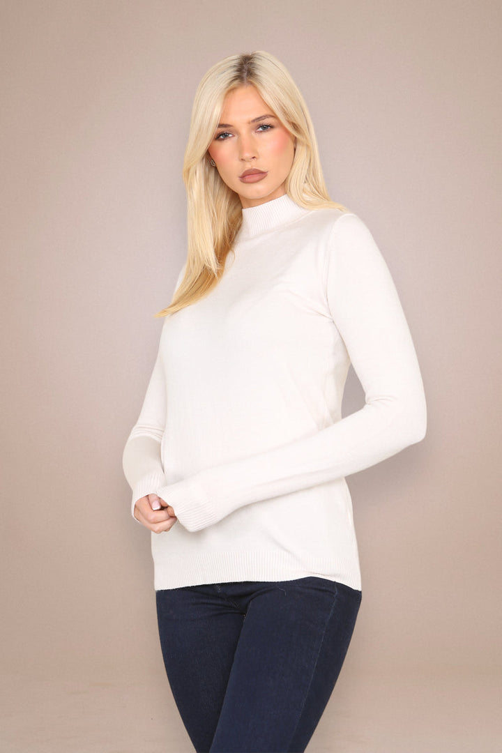 (2p. Pack) Classic Turtle Neck Knit Sweater - jqwholesale.com