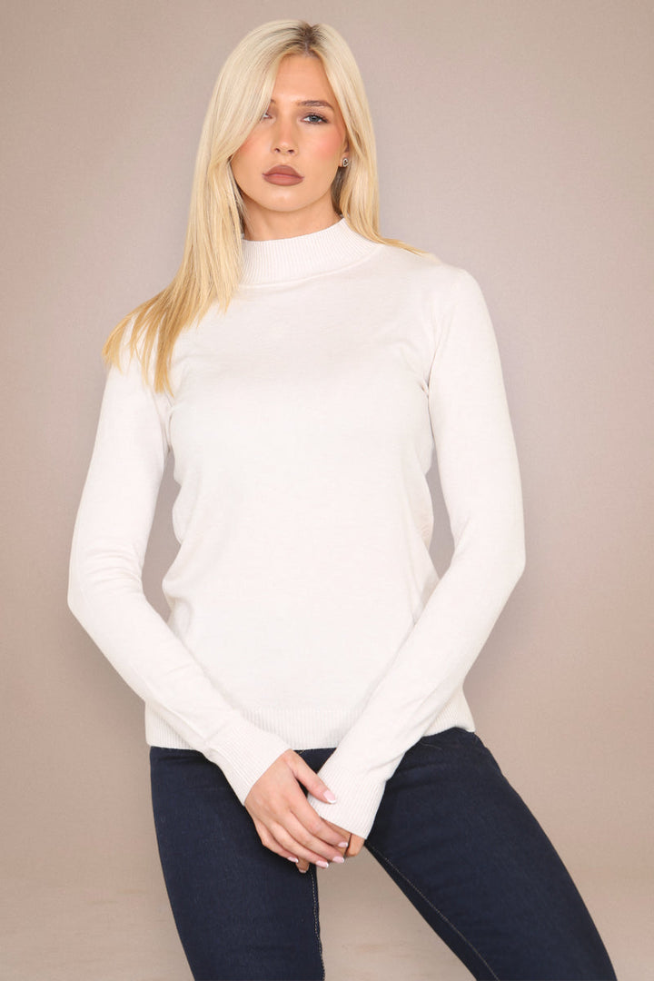 (2p. Pack) Classic Turtle Neck Knit Sweater - jqwholesale.com