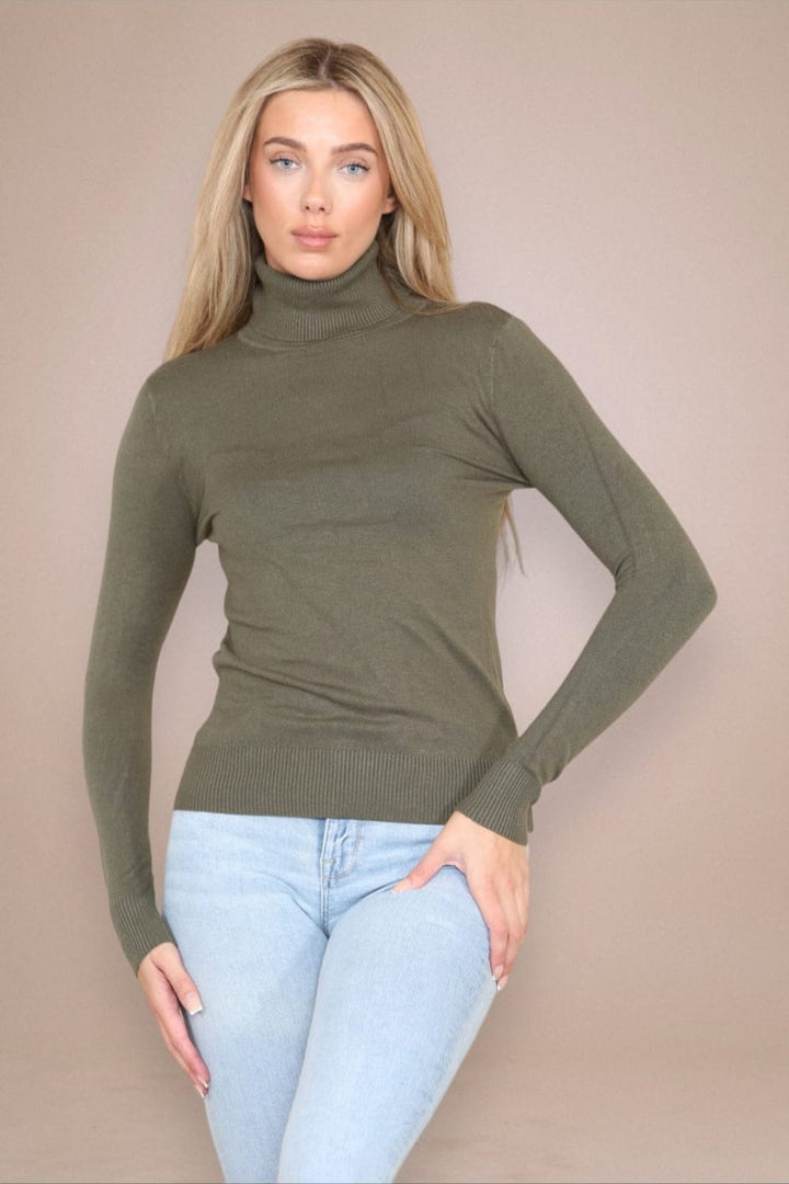 (2p.pack) Classic Polo Neck Knit Sweater - jqwholesale.com
