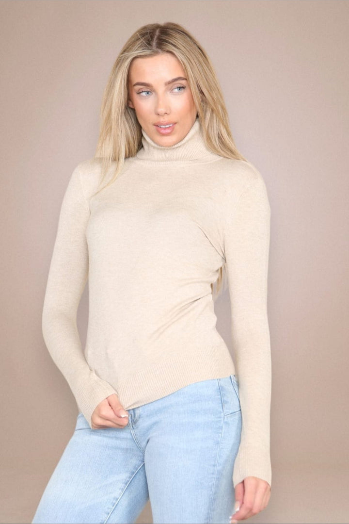 (2p.pack) Classic Polo Neck Knit Sweater - jqwholesale.com