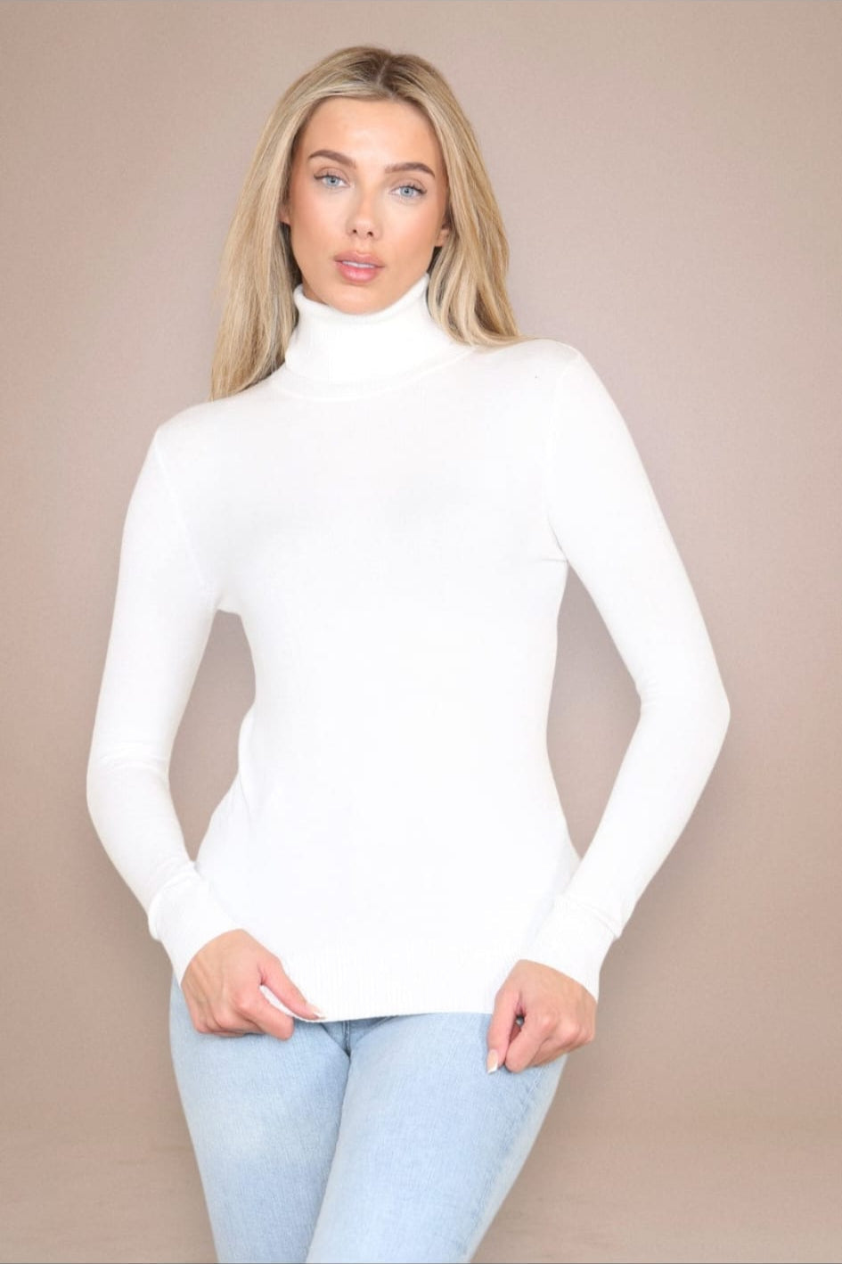 (2p.pack) Classic Polo Neck Knit Sweater - jqwholesale.com