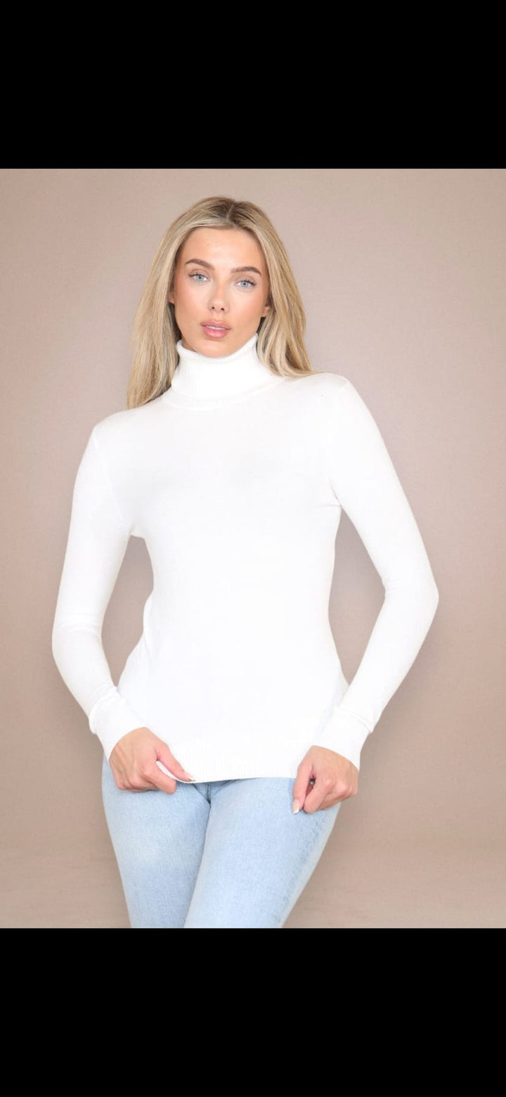 (2p.pack) Classic Polo Neck Knit Sweater - jqwholesale.com