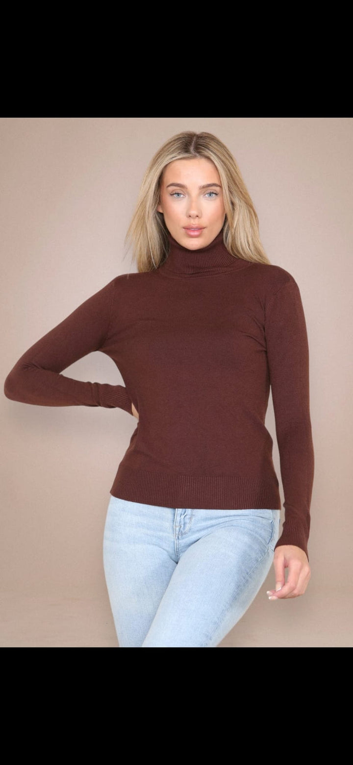 (2p.pack) Classic Polo Neck Knit Sweater - jqwholesale.com