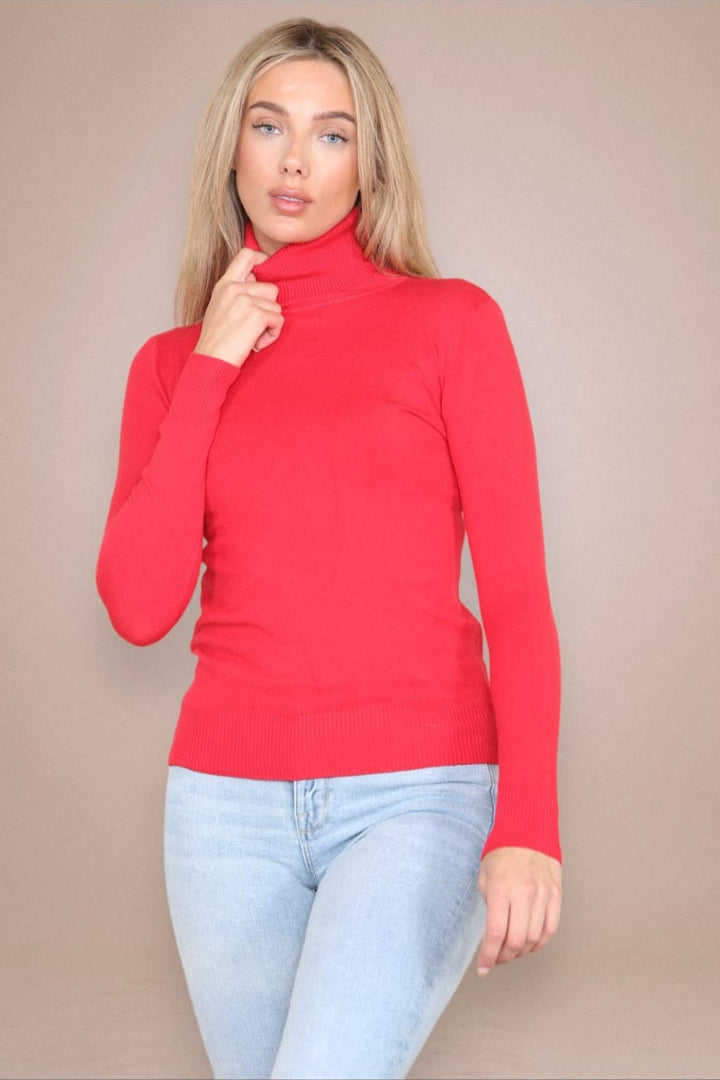 (2p.pack) Classic Polo Neck Knit Sweater - jqwholesale.com