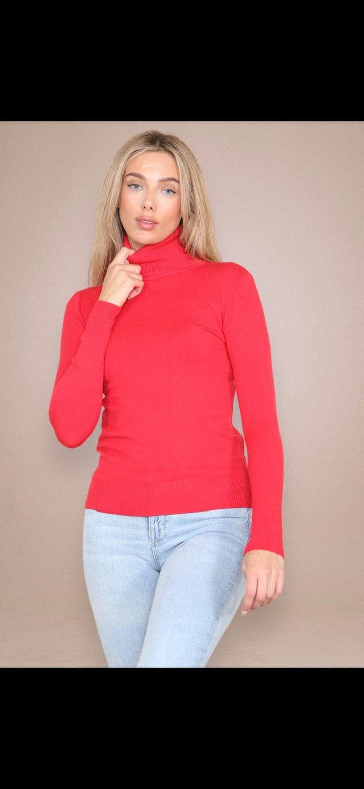 (2p.pack) Classic Polo Neck Knit Sweater - jqwholesale.com